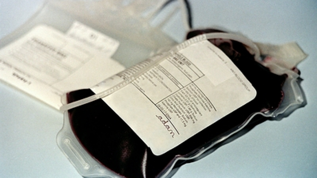    Виктор Лисицын/Globallookpress