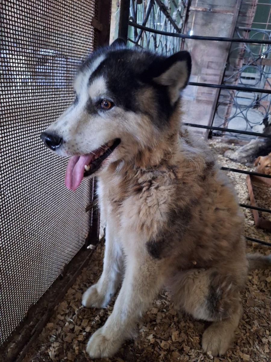 Посмотрите на них внимательно. Они должны жить