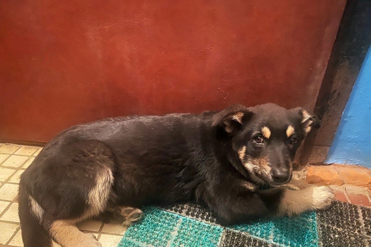 Они ведь не игрушка...