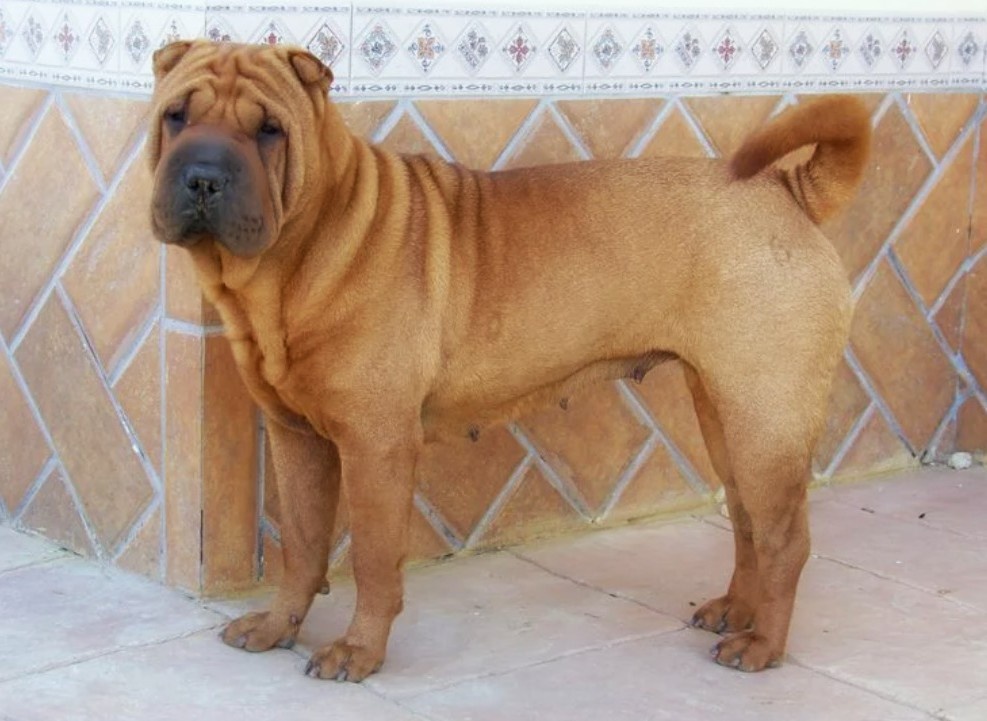 И даже в те страшные минуты своей боли она оставалась собой — нежной, любящей, настоящей.
