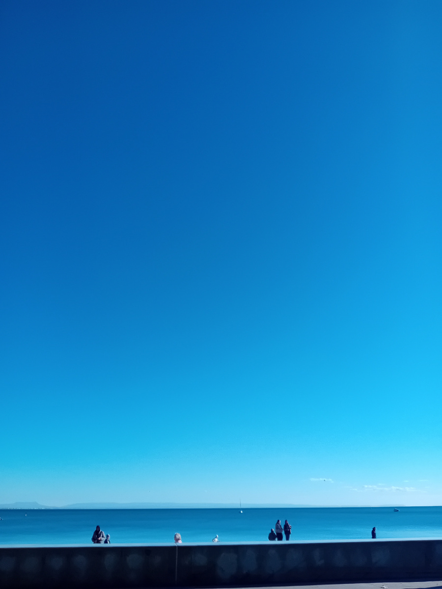 Авторское фото.