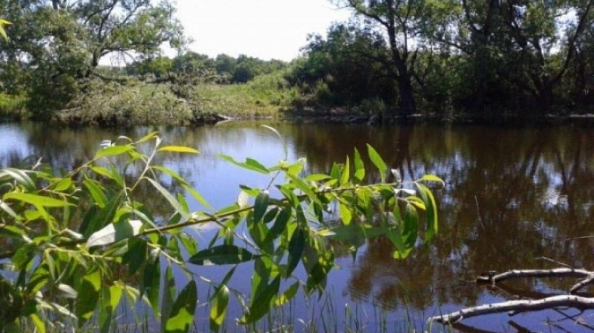    Под Саратовом за 30 млн продают базу отдыха на берегу Большого ИргизаНовости Саратова и области – Сетевое издание «Репортер64»