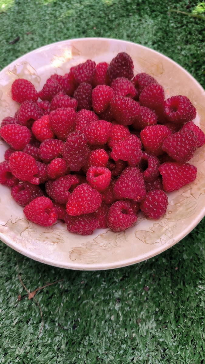 Урожай машины в сентябре