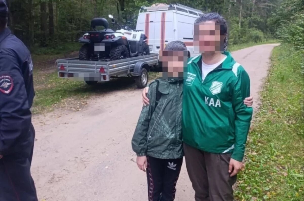    Женщина с ребенком потерялась в лесу в Калининградской области