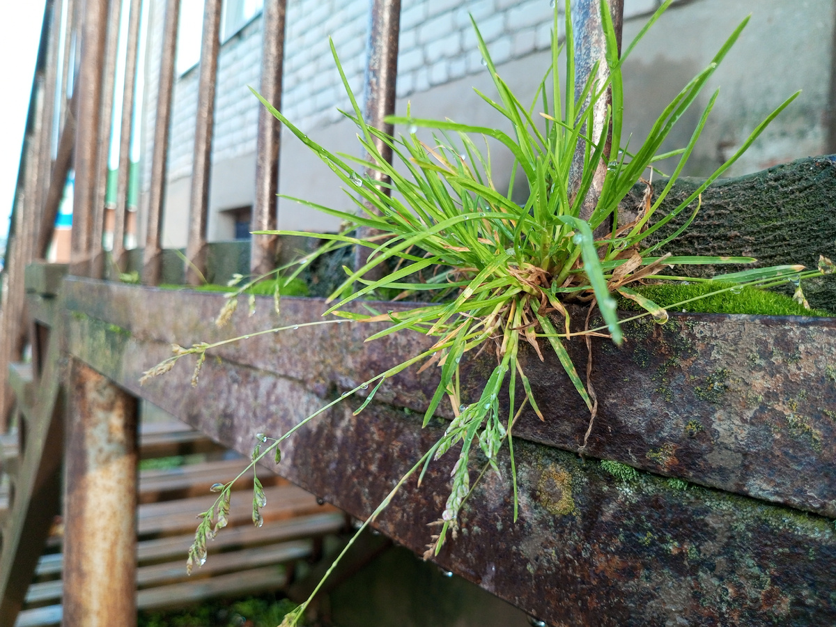 Жажда жизни. Фото автора.