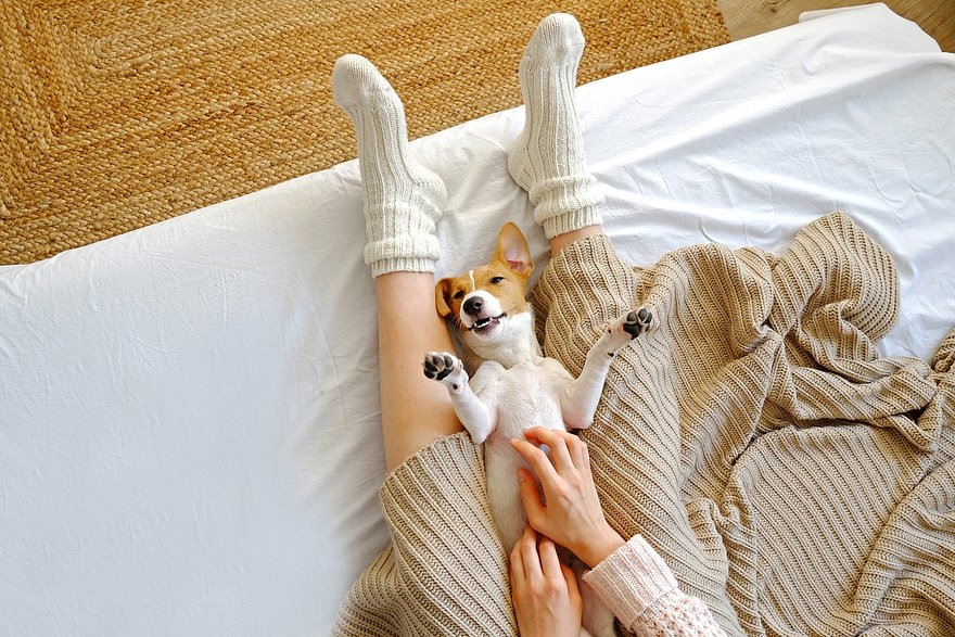    Фото: Evrymmnt / Getty Images