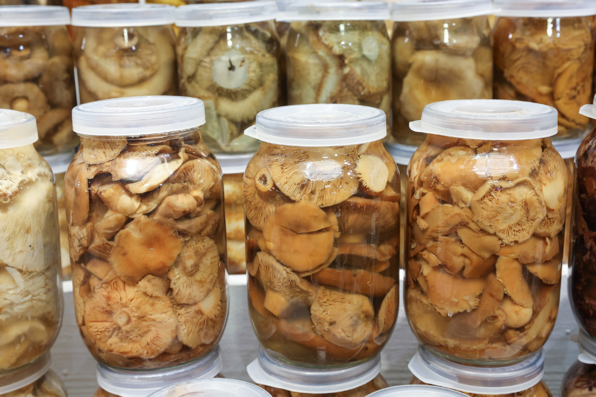 Фото: Globallookpress.com