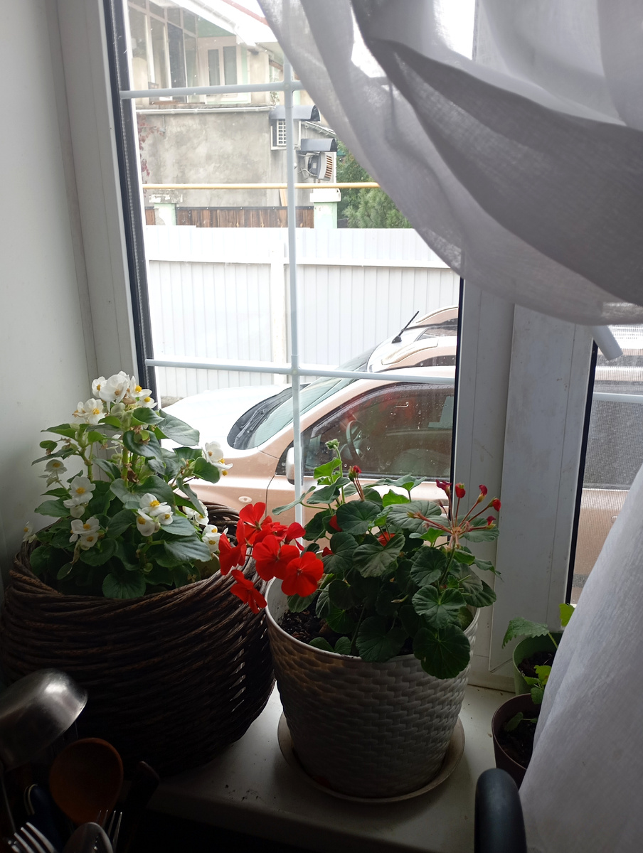 Со стороны двора.