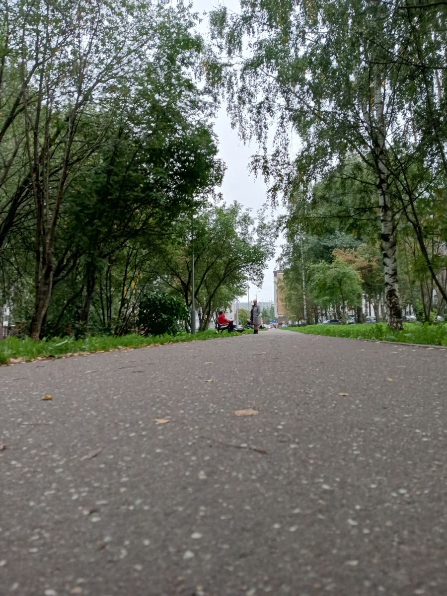 Осень "очей очарованье" и сезон простуд. 