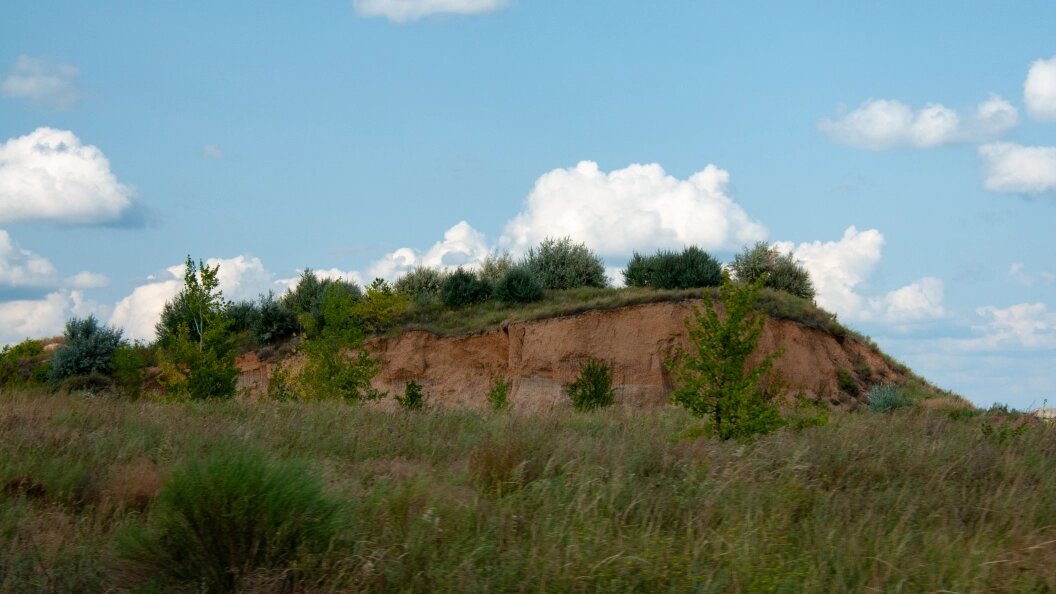    Svetlana Vozmilova/Globallookpress