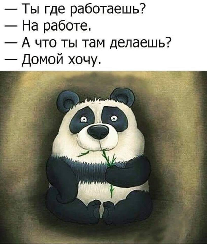 Взято с просторов интернета