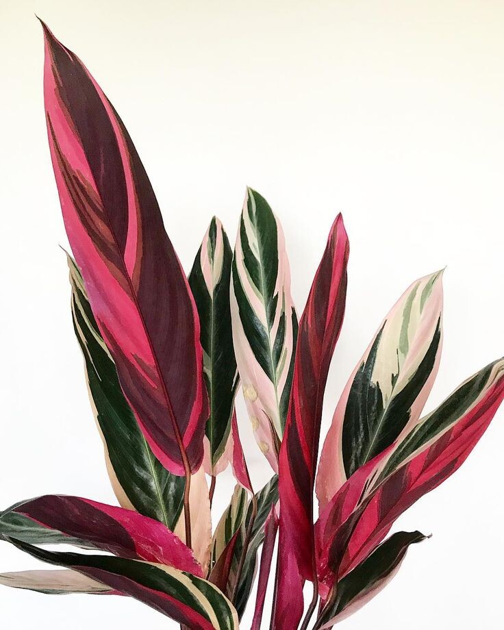 (фото взято из открытых источников для примера)