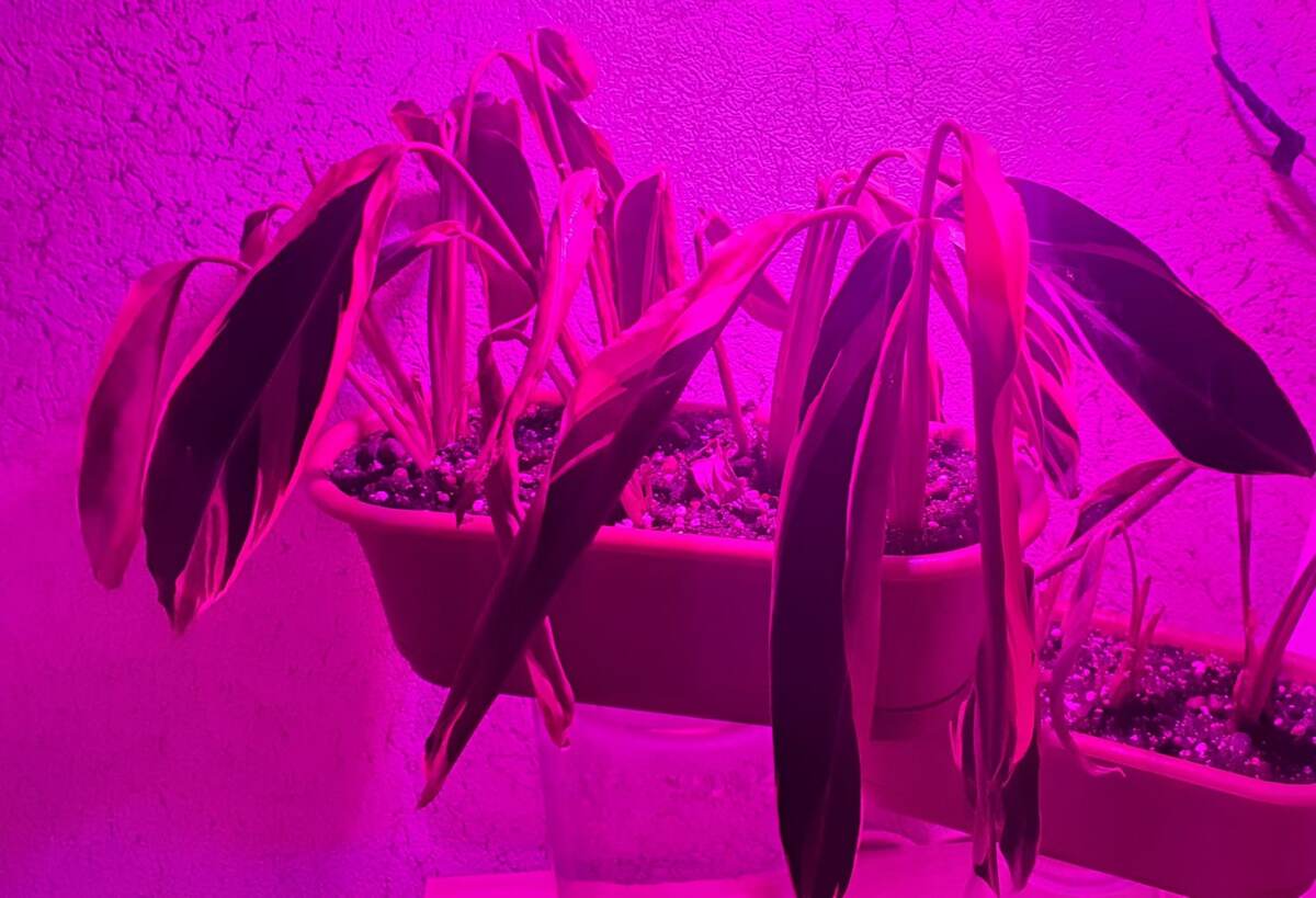 Полшестого...