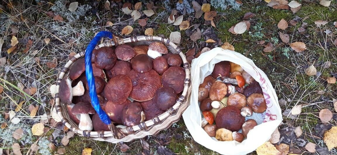    Фото: «Бриф24»