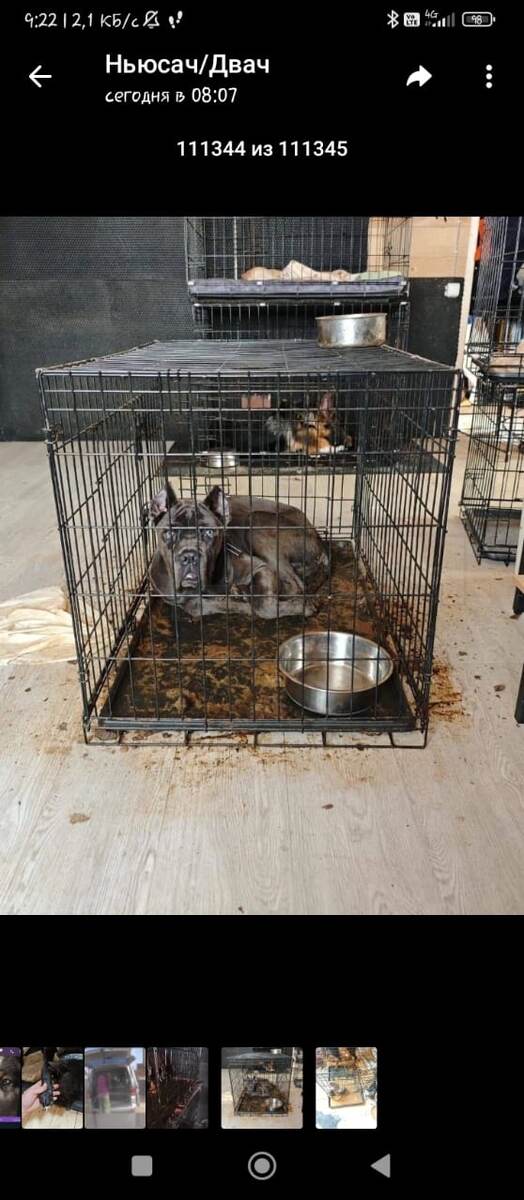 Из свободного источника