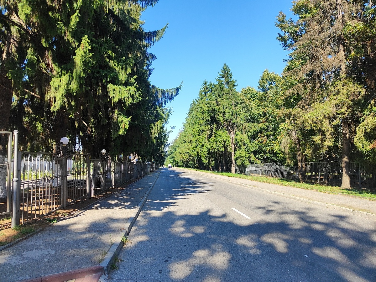 Проезд Голубых елей