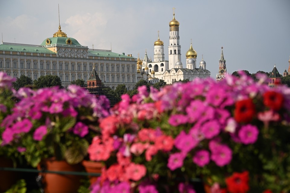    Handelsblatt: переговоры с Зеленским в Москве укрепили бы позиции РФ Владимир ВЕЛЕНГУРИН