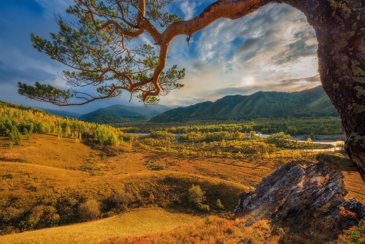 Картинка найдена на просторах интернета, ссылка https://yandex.ru/images/search?from=tabbar&img_url=https%3A%2F%2Fi.pinimg.com%2Foriginals%2Fa8%2F34%2F3f%2Fa8а43f812е79b5e7bd53274cf0591a19.jpg&lr=47&pos=15&rpt=simage&text=%D1%86%D0%B2%D0%B5%D1%82%D1%8B%20%D0%BA%D1%80%D1%83%D0%BF%D0%BD%D0%BE%20%D1%84%D0%BE%D1%82%D0%BE