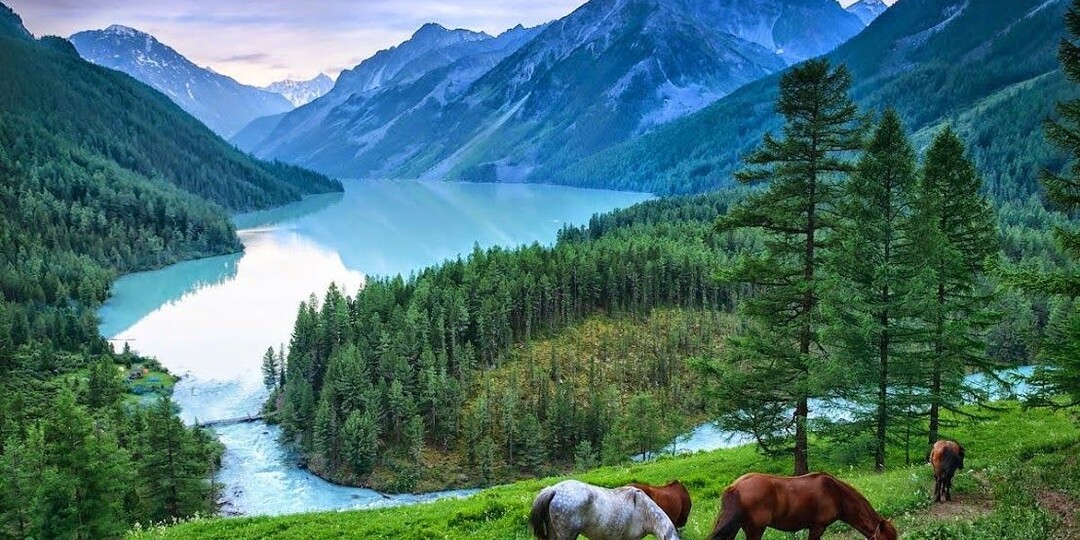 Алтай в «золотую» неделю: готовый маршрут, точки съёмки и бюджет по дням