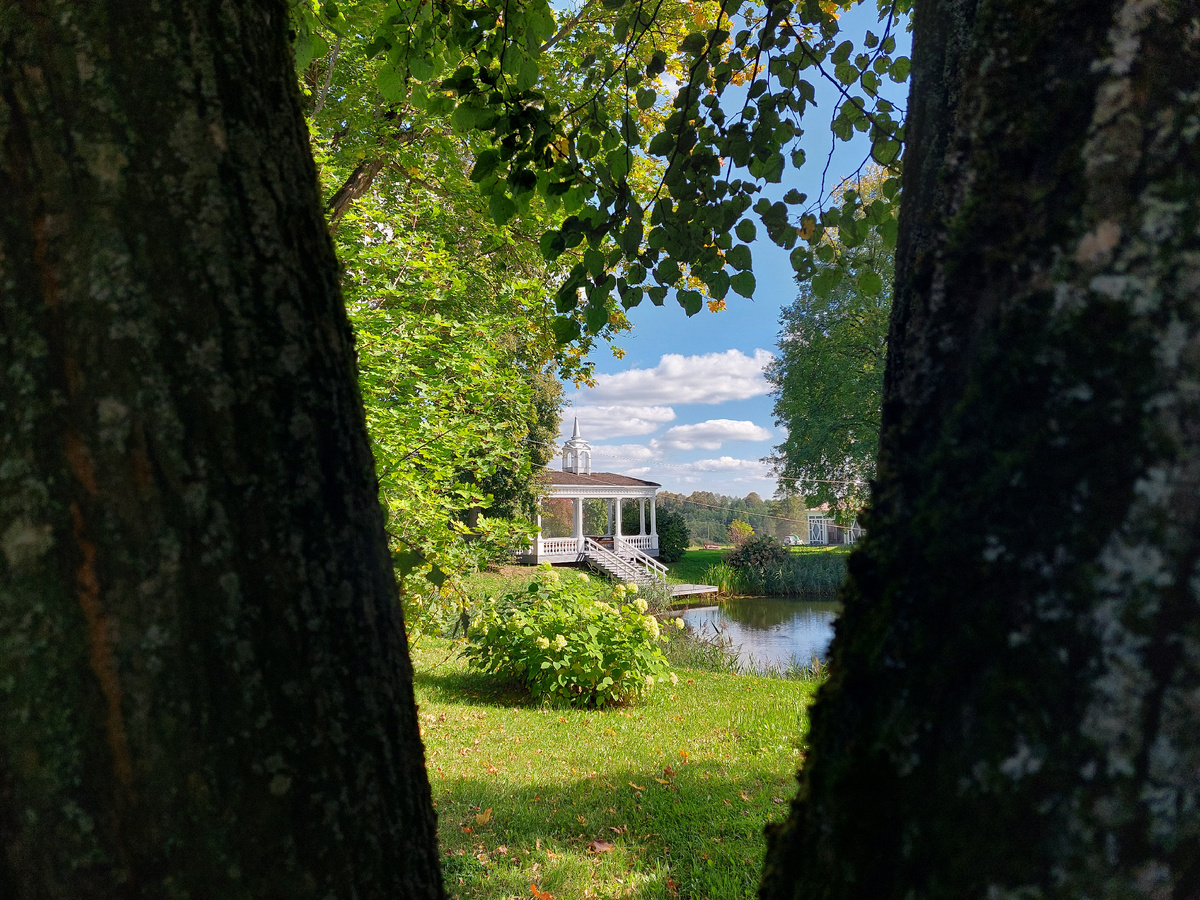 Маленьки прудик с беседкой