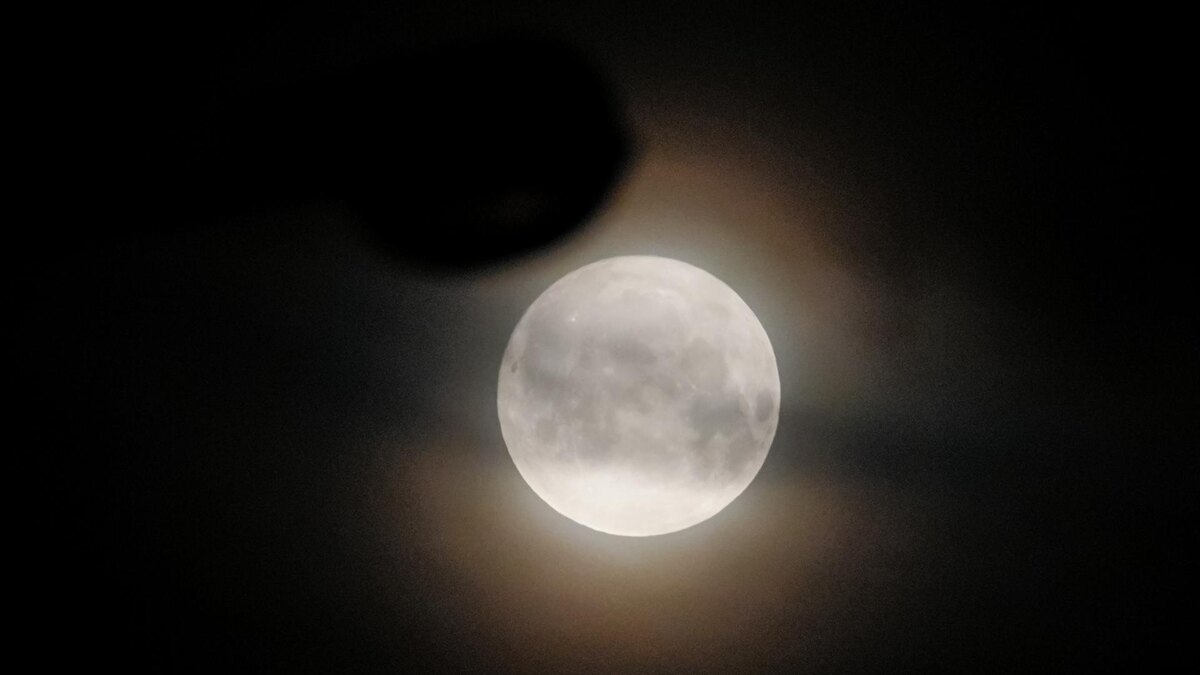    Фото: ИЗВЕСТИЯ/Сергей Лантюхов