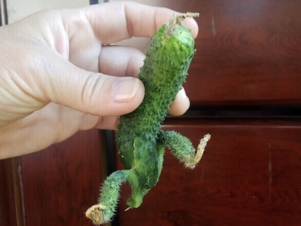 Из интернета