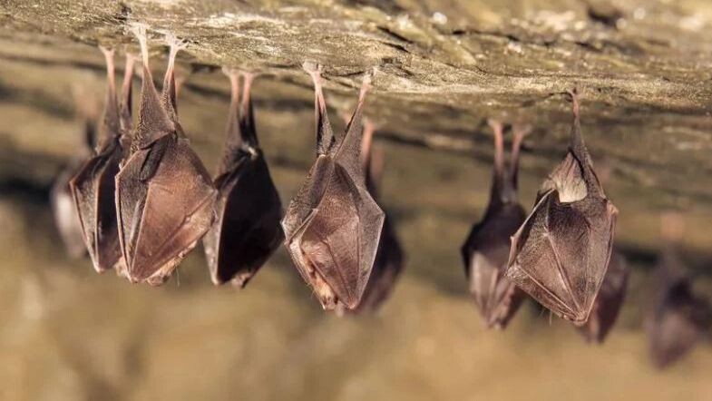    Фото: Martin Janca/Shutterstock/Fotodom