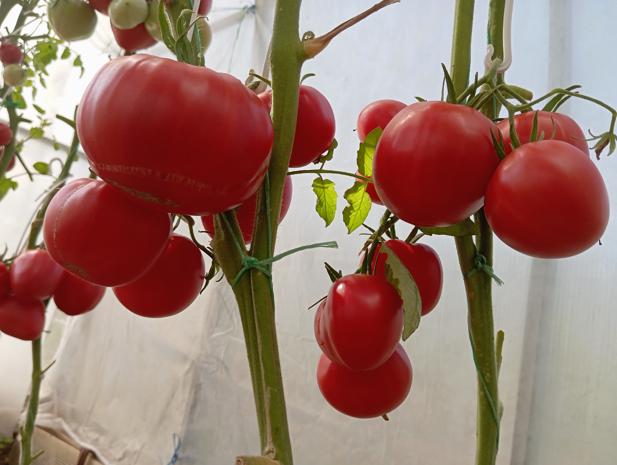 ЛИСТАЙТЕ ВПРАВО