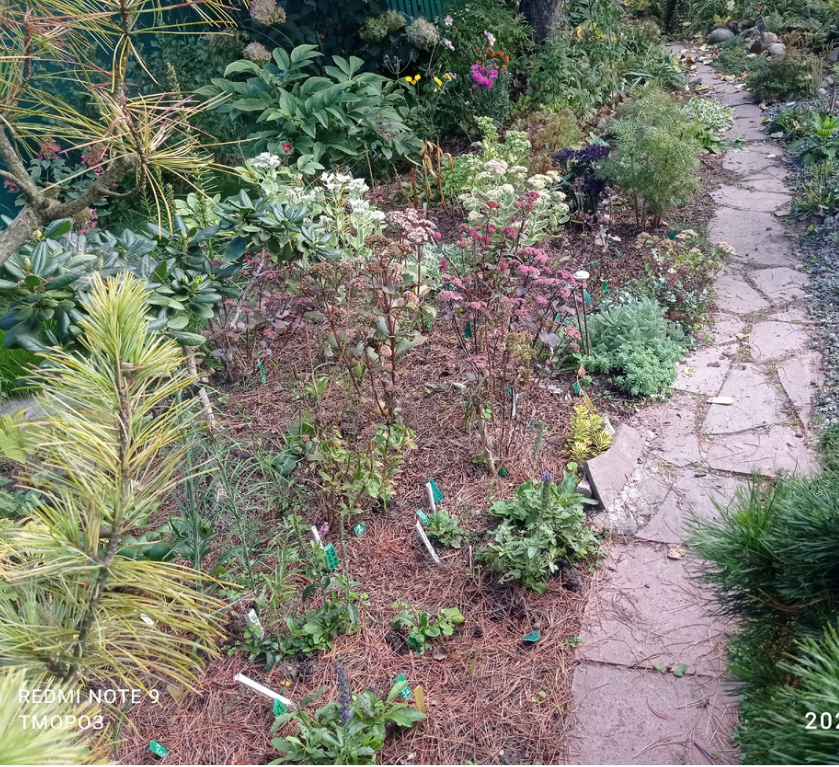 на шаг вперед