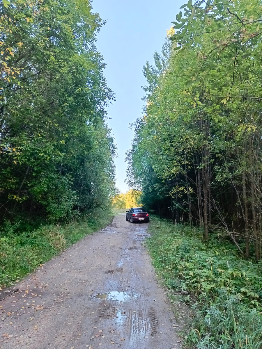 Поездка в деревню