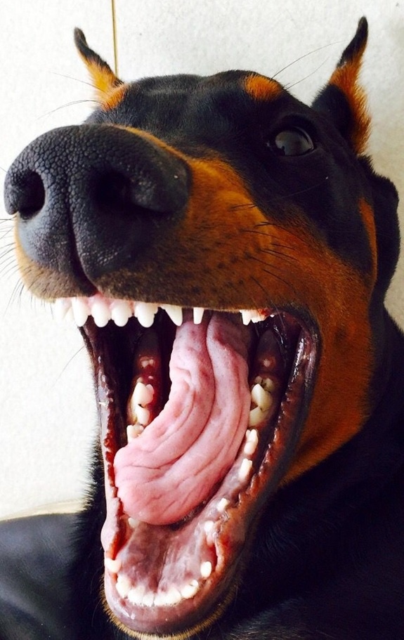 -А поговорить???