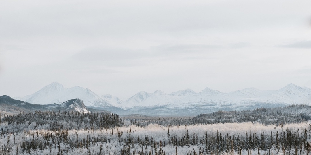 В НАО разъяснили получение арктического гектара