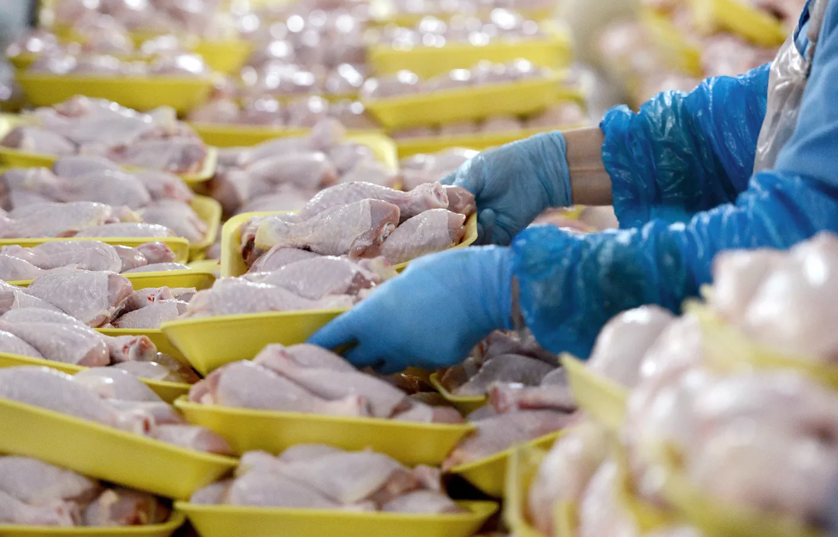 © Sputnik / Евгений Биятов