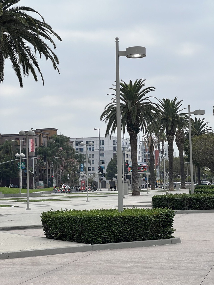 Улицы в Лос-Анджелесе. Америка. Фото из личного архива 