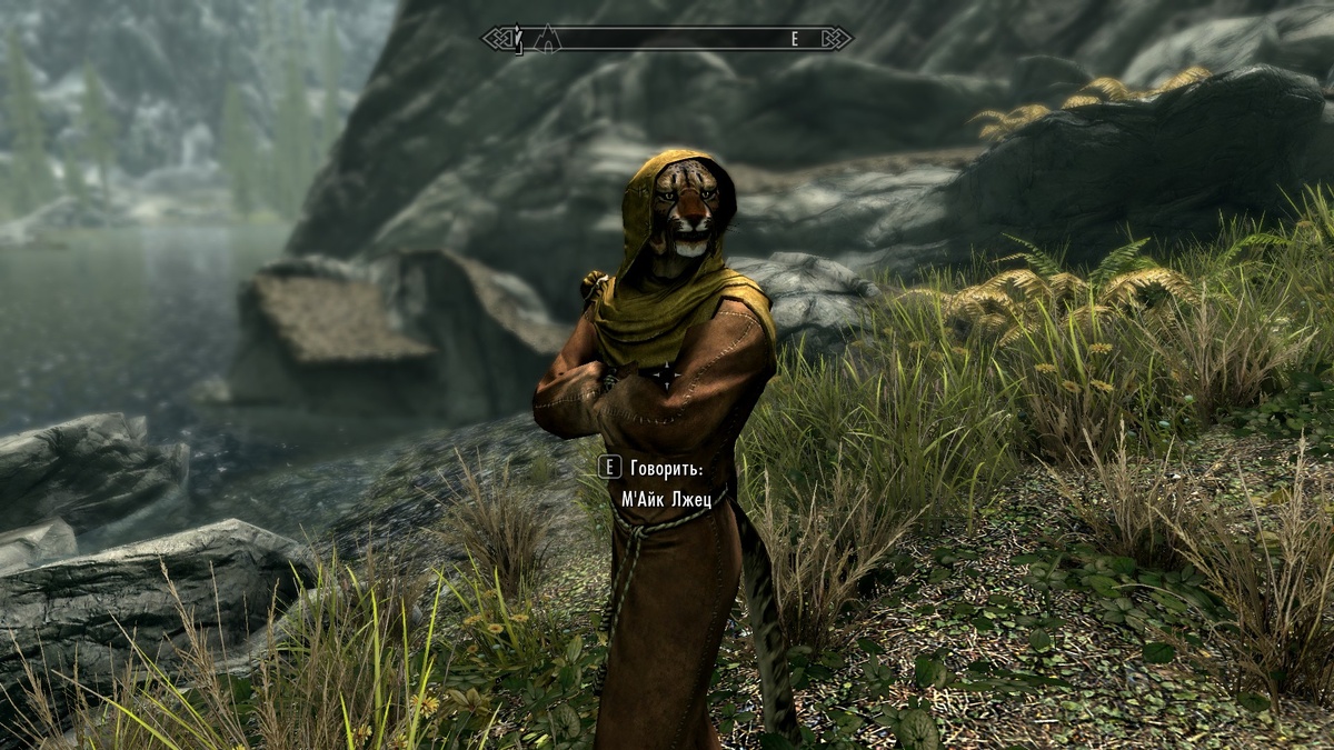 Символ серии TES)