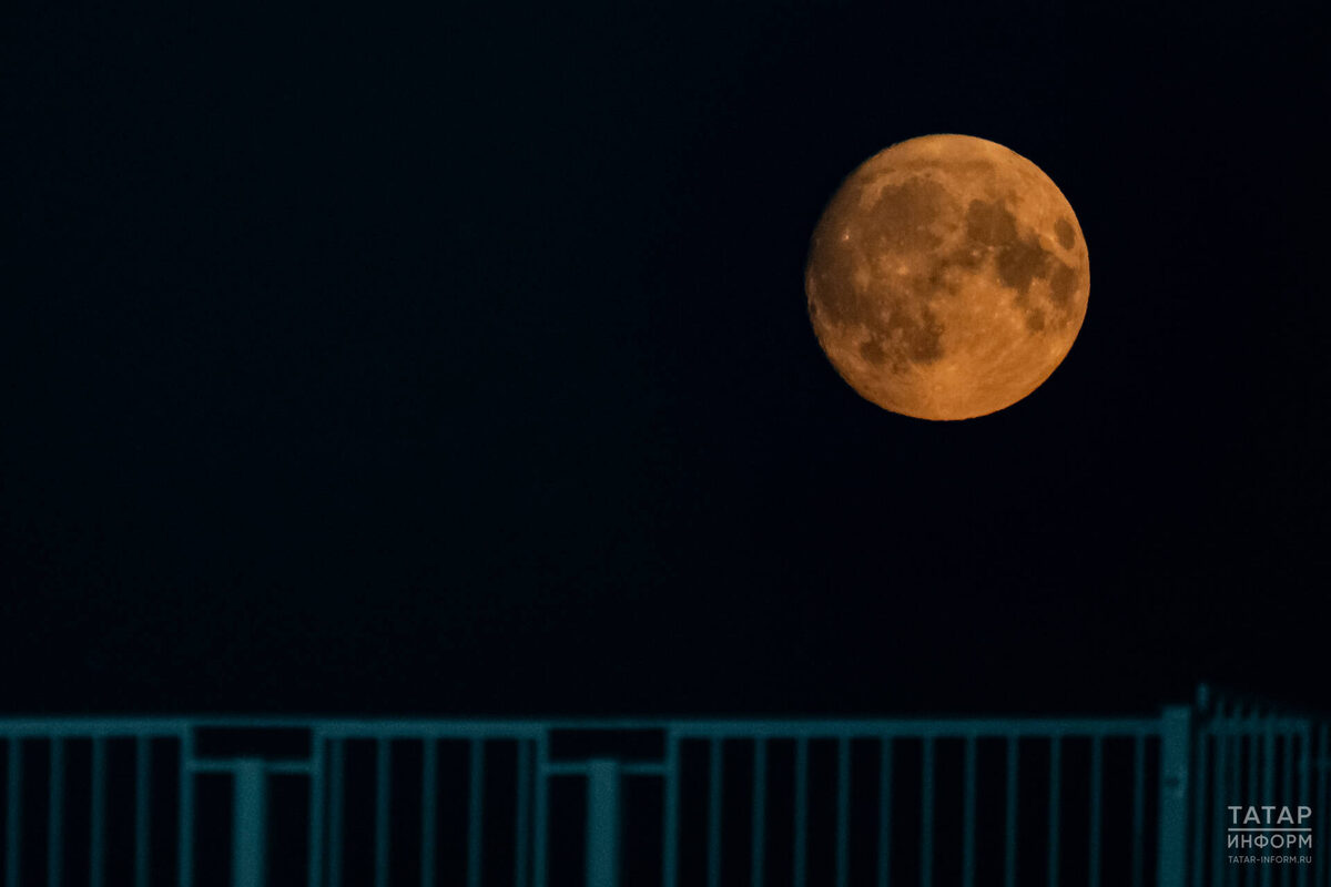 Фото: © Салават Камалетдинов / «Татар-информ»