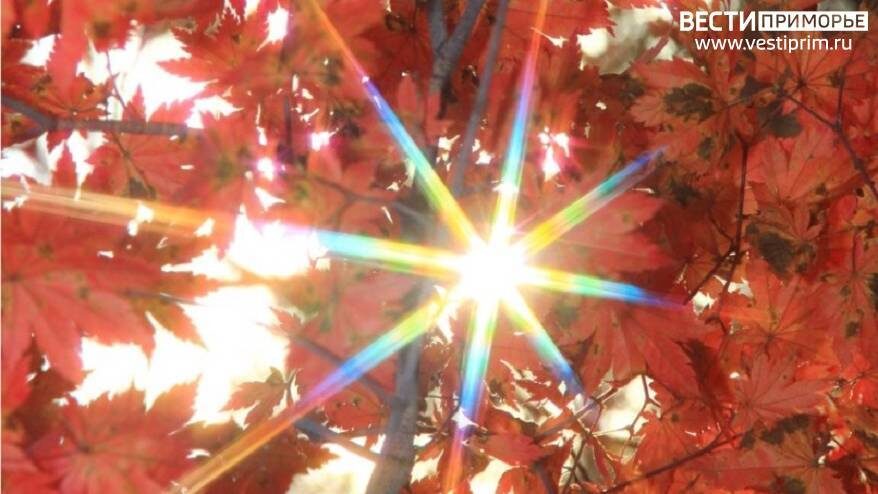    Источник фото: