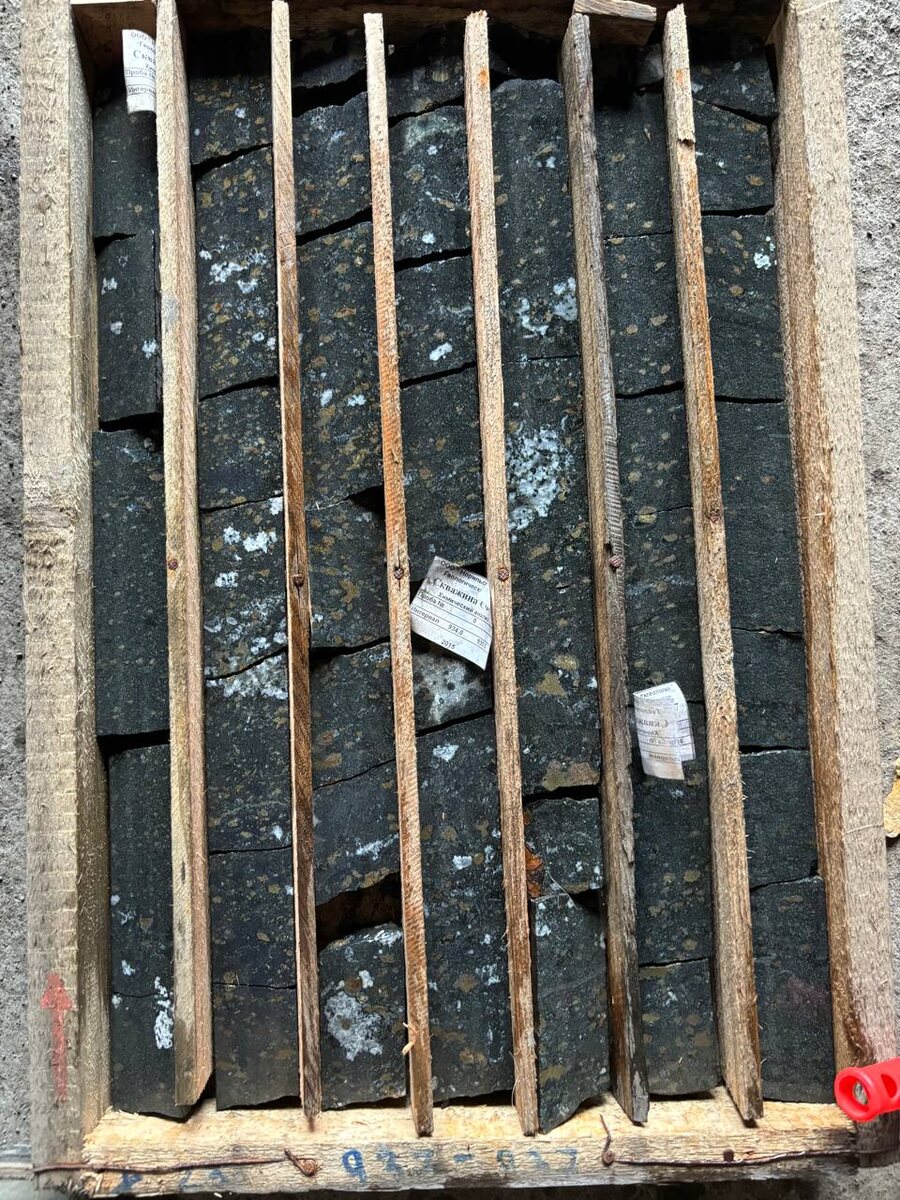 Вкрапленные руды Талнахского месторождения. Фото автора.