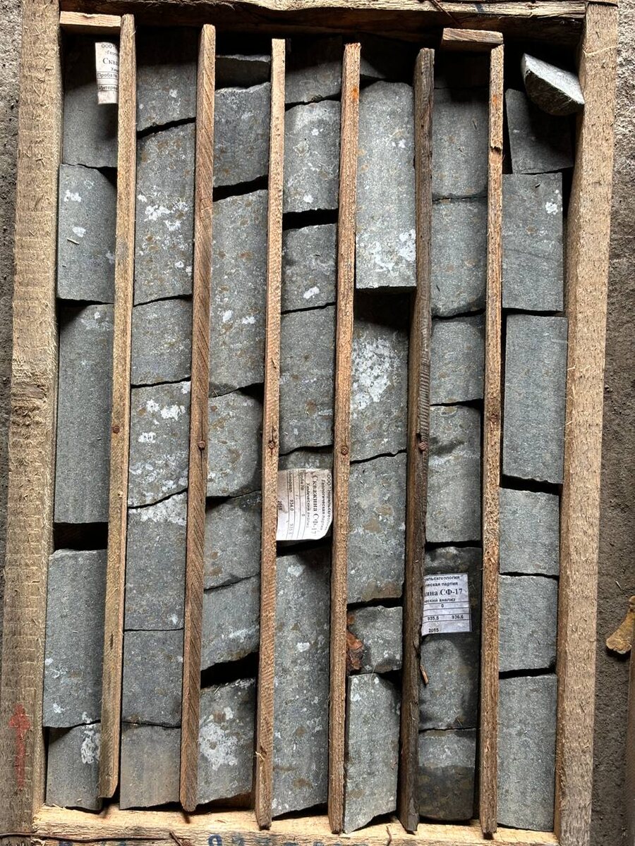 Вкрапленные руды Талнахского месторождения. Фото автора.