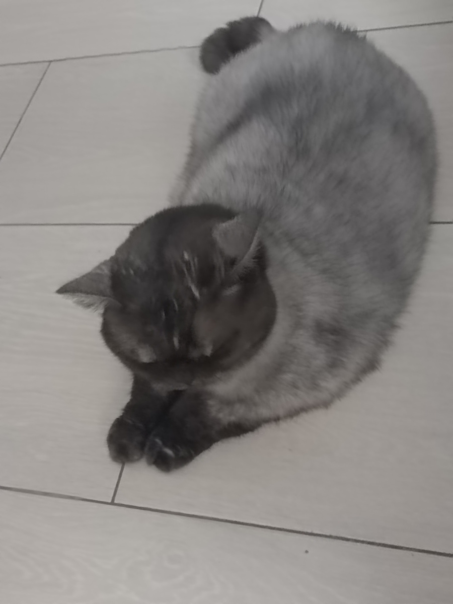 И вот так помогала😳