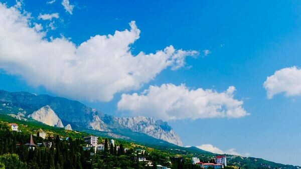    © Telegram-канал главы администрации Ялты Янины Павленко