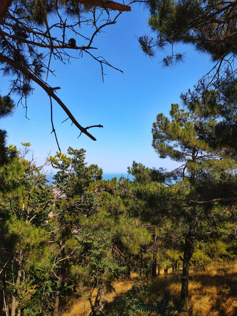 Подъем к крепости