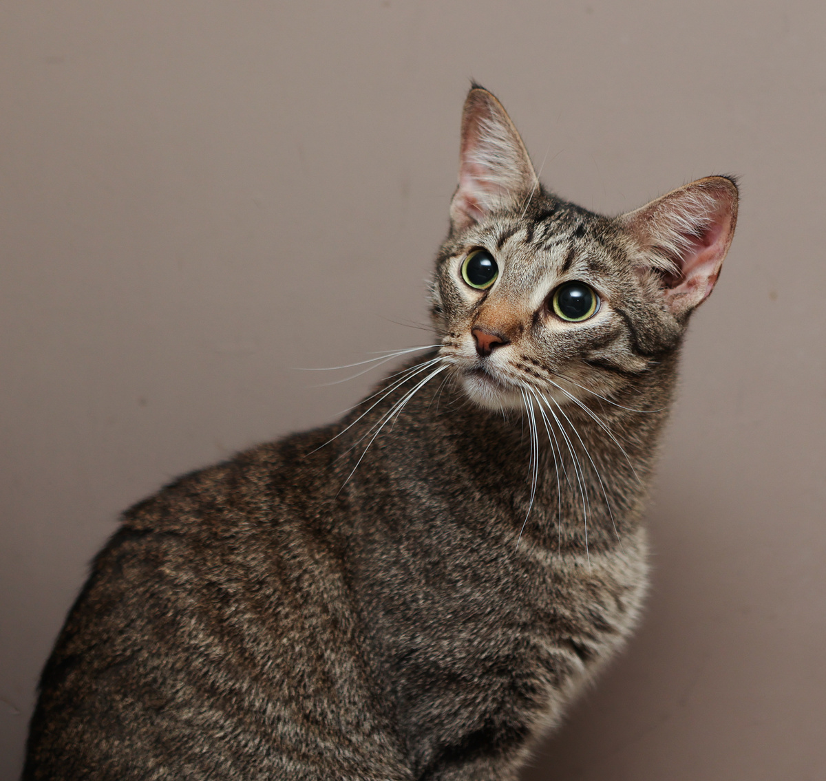 Чего это я неоднозначный?