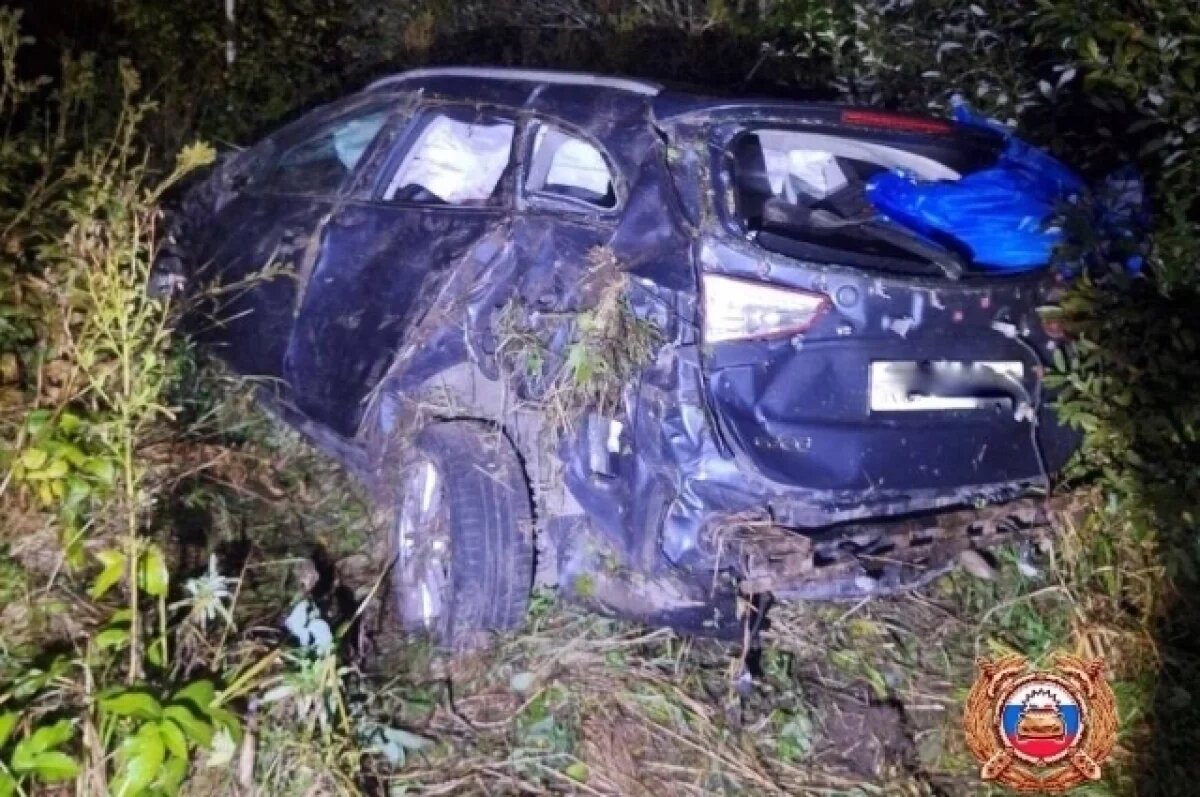    В Тверской области 15-летний водитель улетел в кювет с двумя товарищами