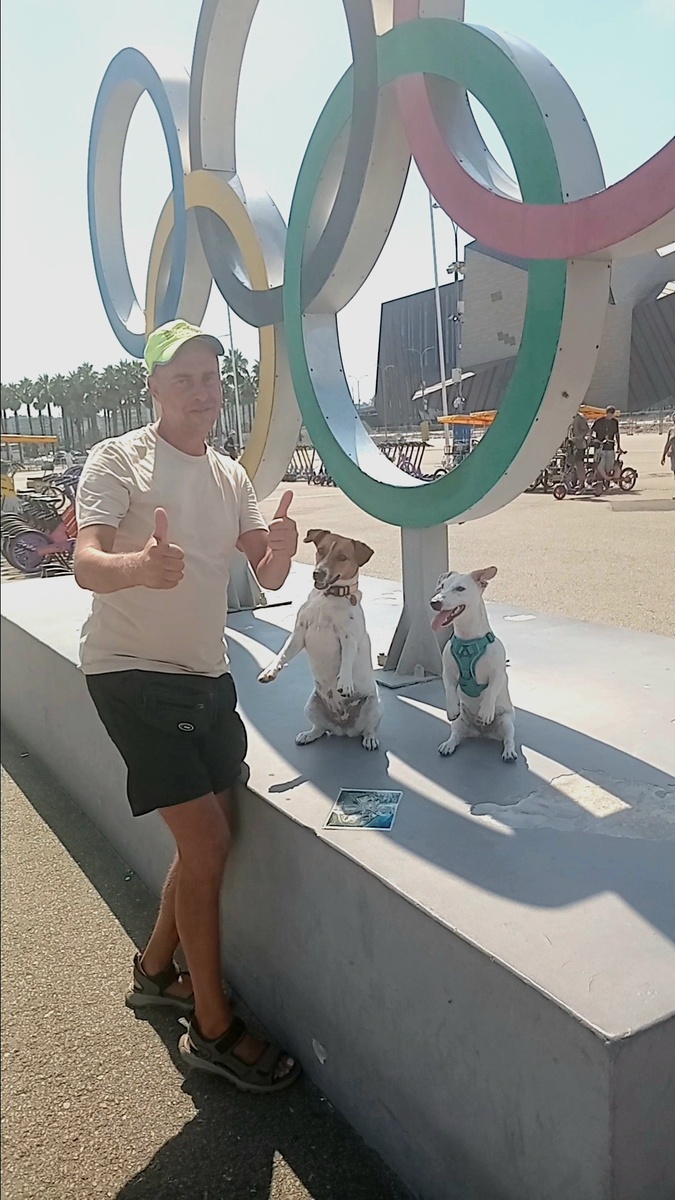 Джек-Рассел Жасмин 🐕 и Щенок Джесси в позе "Зайка"