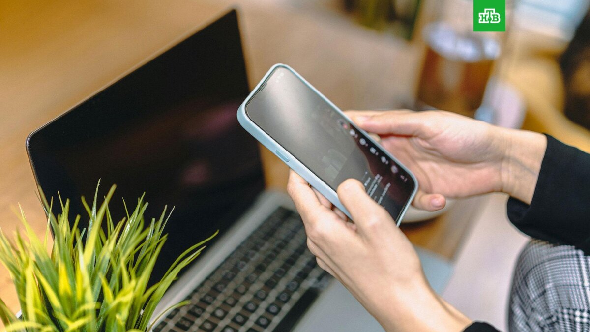    Фото: Jakub Zerdzicki / unsplash.com