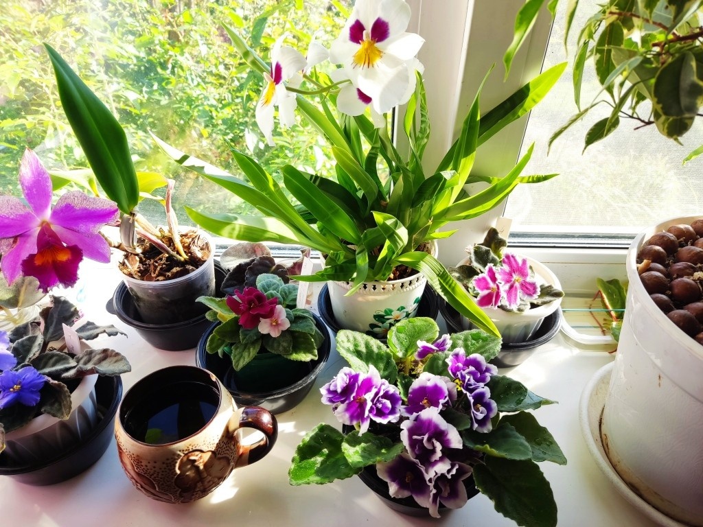 После загадки про кружку на подоконнике мне пришла новая порция обвинений в безграмотности...