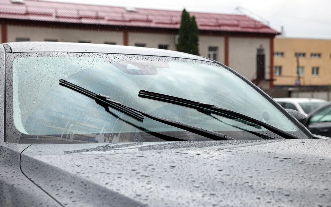 Фото: New Africa / Shutterstock / FOTODOM