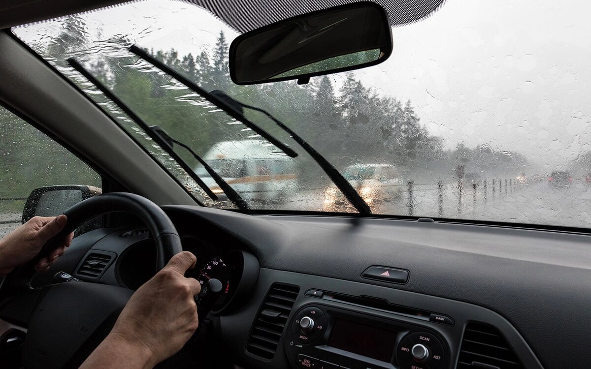 Фото: LanaElcova / Shutterstock / FOTODOM