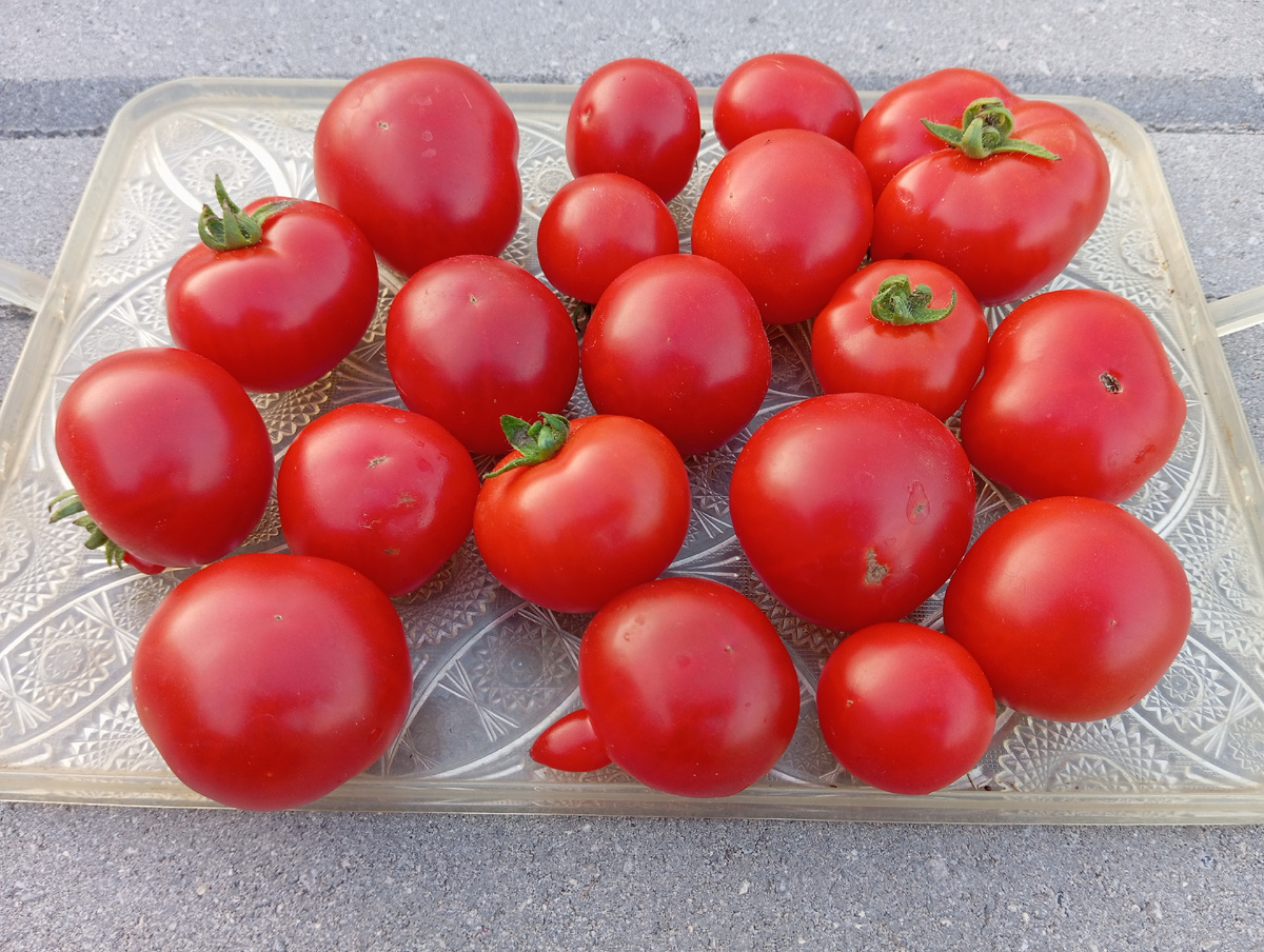 ЛИСТАЙТЕ ВПРАВО